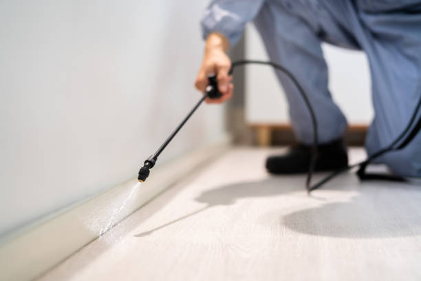 Licensed Termite Control service in Lackawanna County County, PA - Nex Pest Control