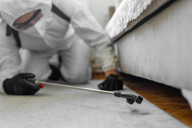 Professional Termite Control technician working in Lackawanna County County, PA